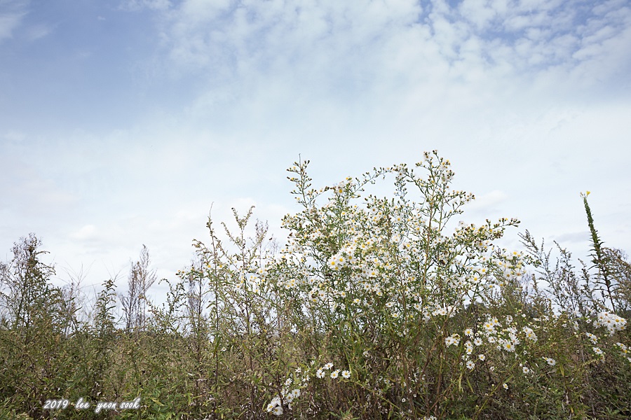 20191006-P39A4705.jpg