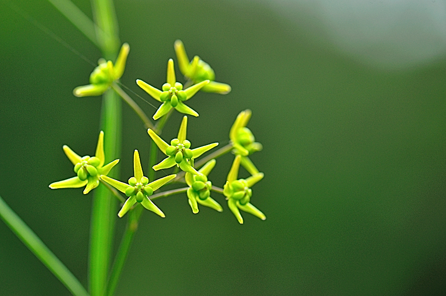 산해박559.jpg