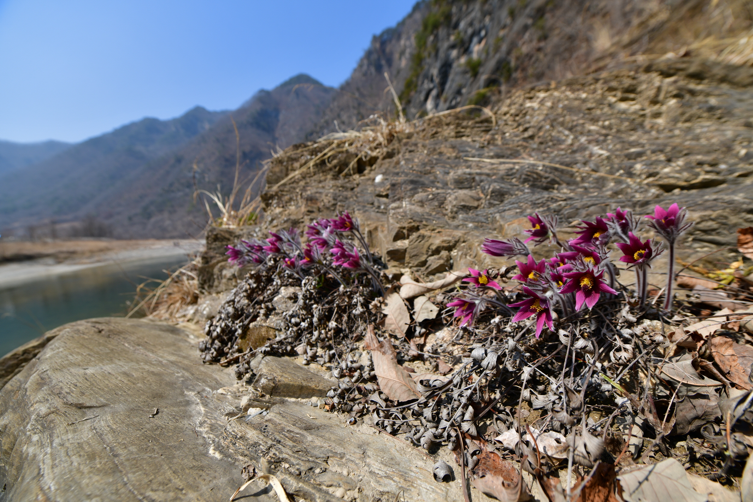 [크기변환]DSC_1958.JPG