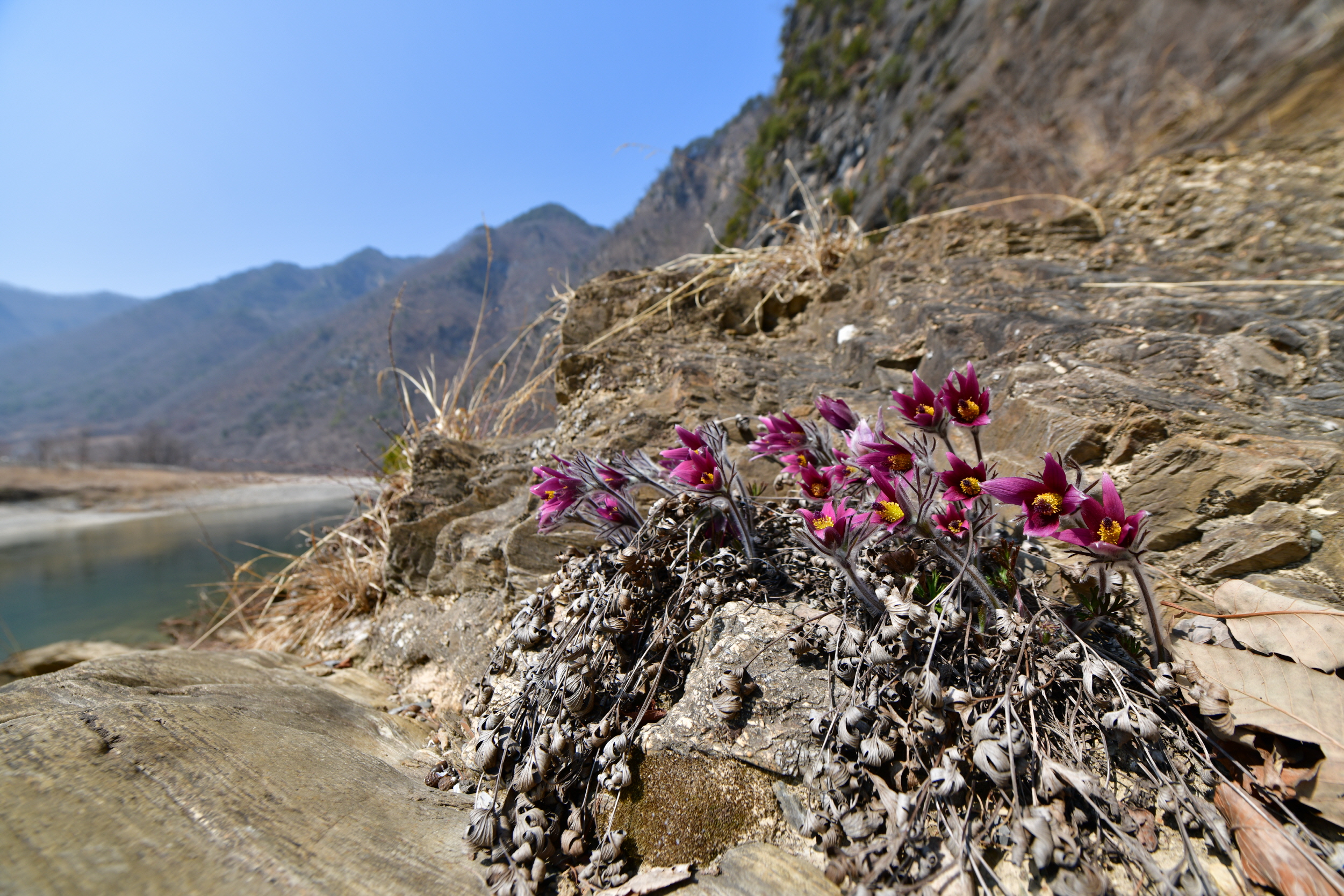 [크기변환]DSC_1968.JPG