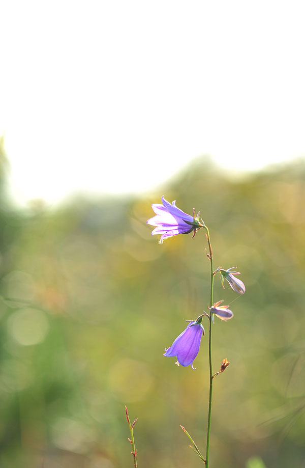20121006_0102-1.jpg
