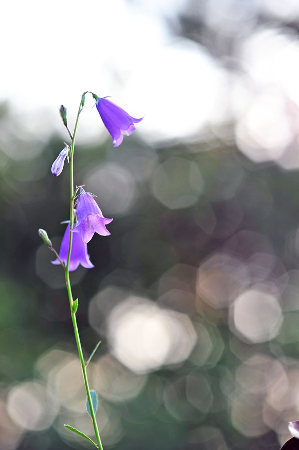 20121006_0113-1.jpg