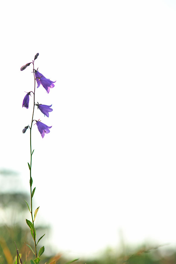 20121006_0118-1.jpg