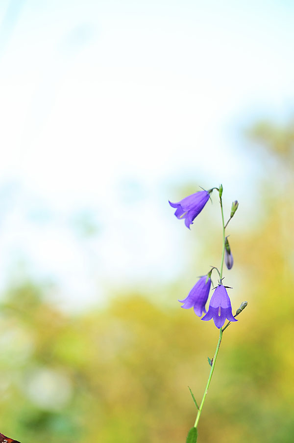 20121006_0081-1.jpg