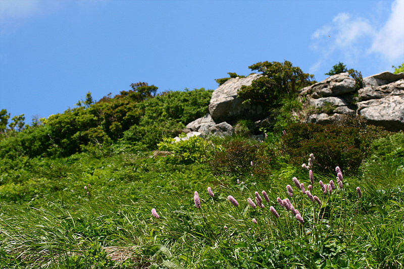 20090606안산 148.jpg