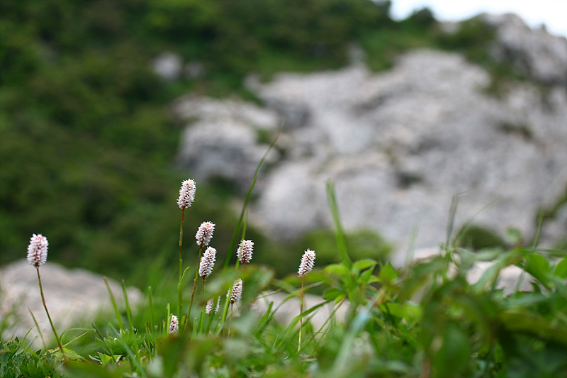 20090606안산 135.jpg