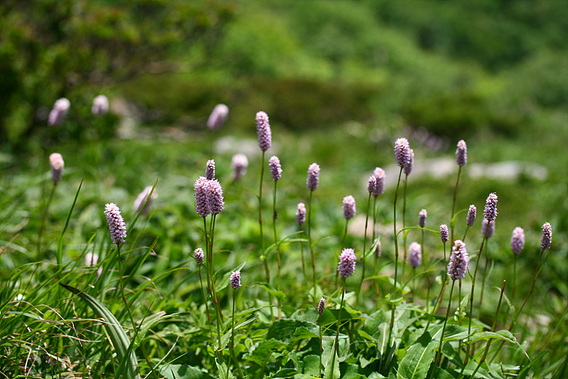 20090606안산 124.jpg