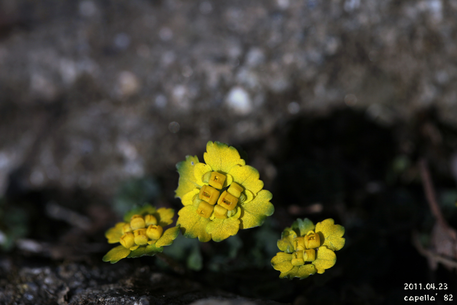 0423-4-3.jpg