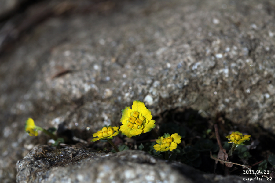 0423-4-2.jpg