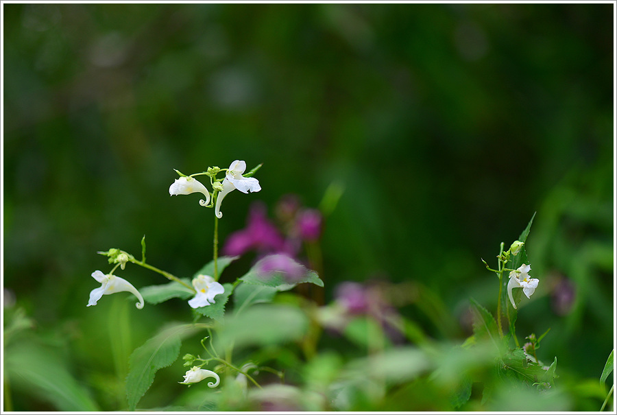 DSC_9574.jpg
