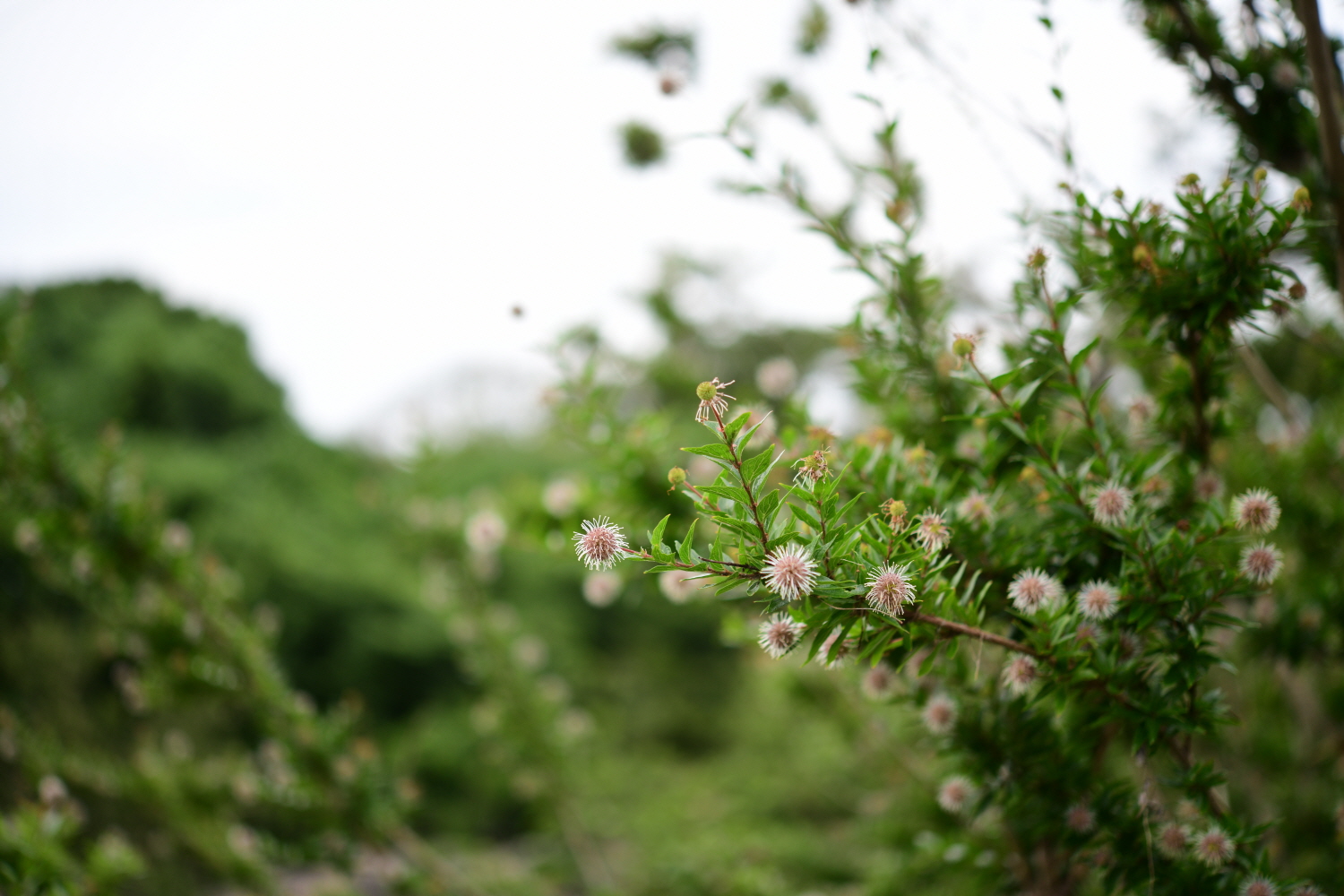 크기변환_DSC_9790.JPG