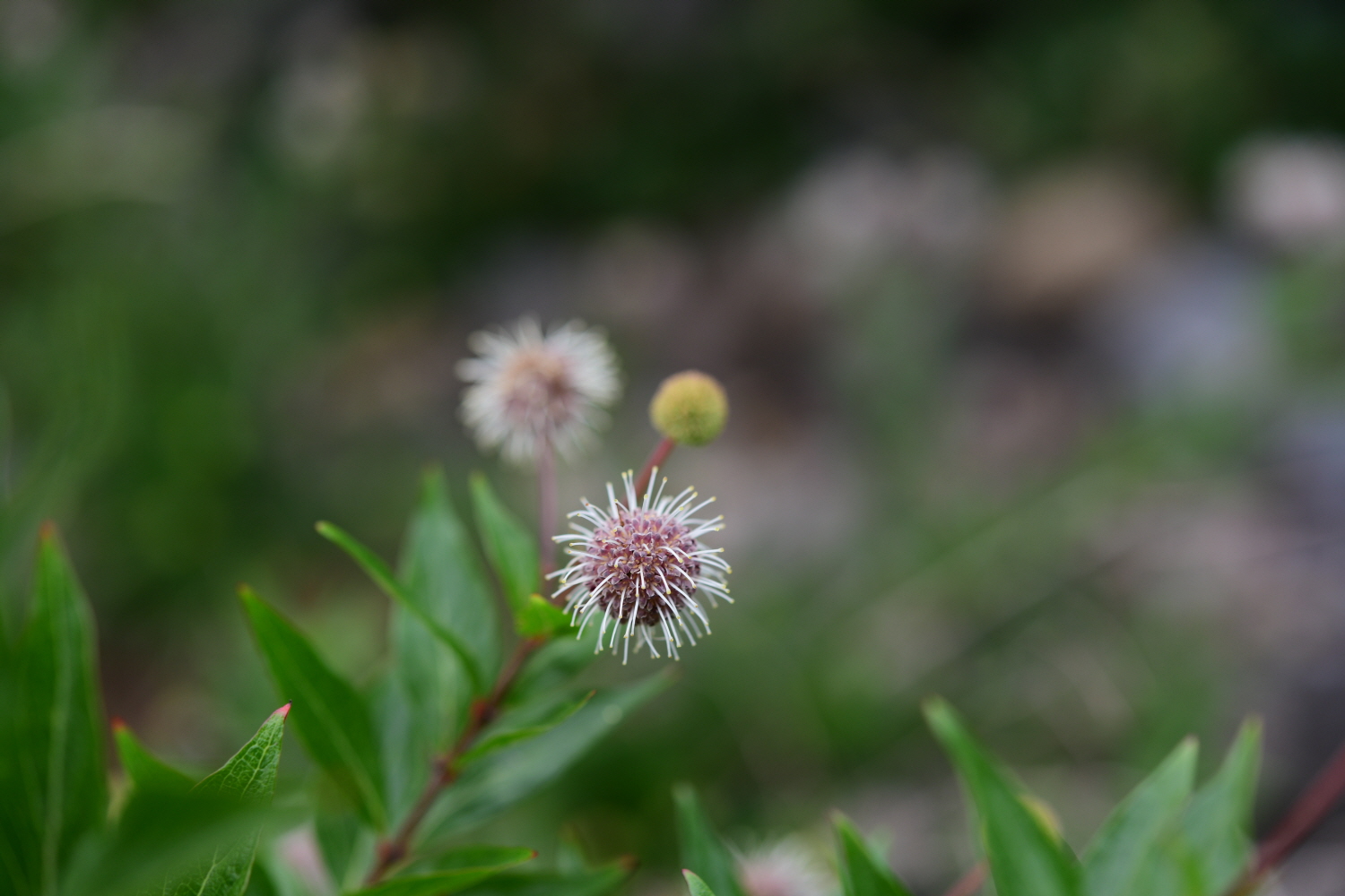 크기변환_DSC_9781.JPG
