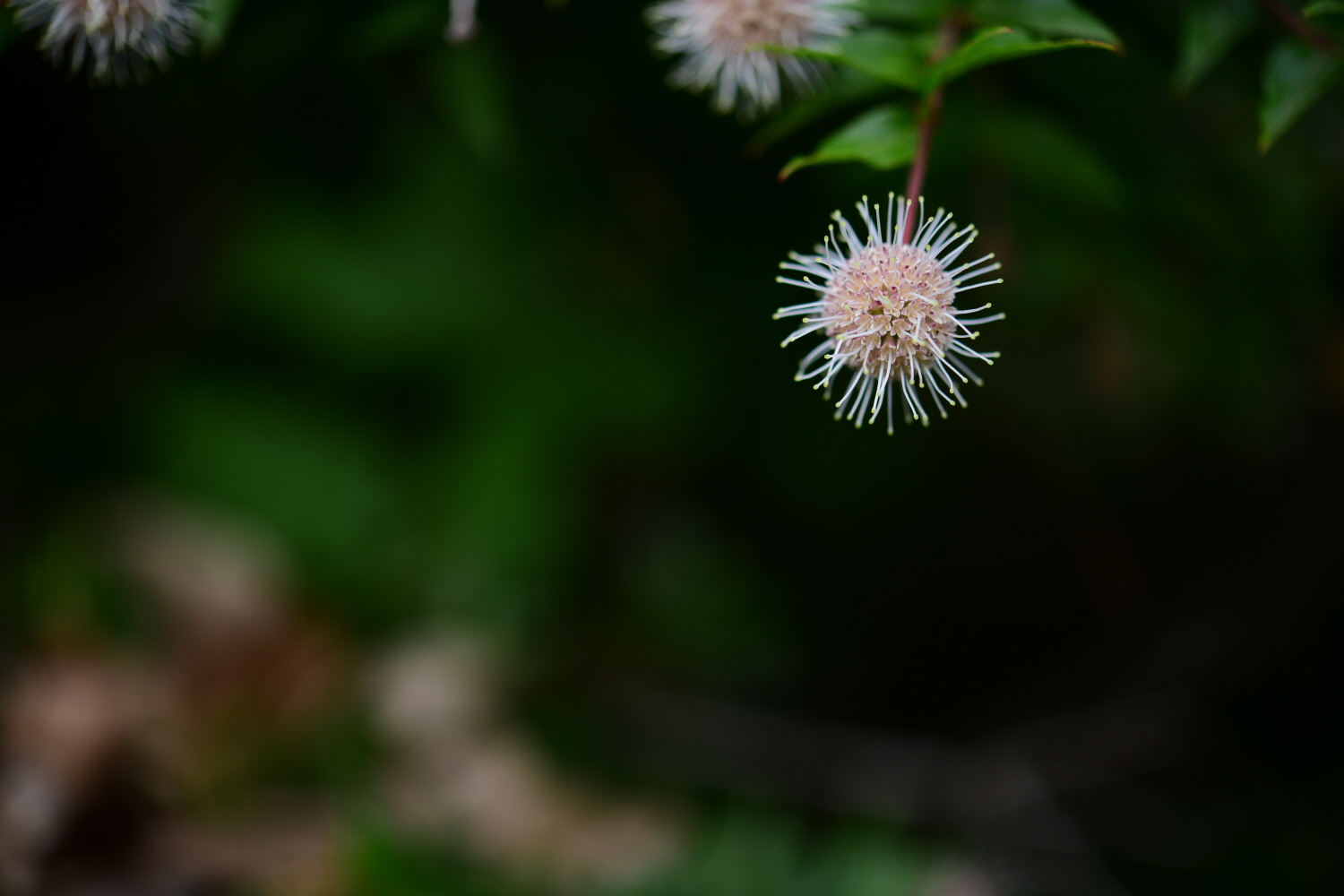 크기변환_DSC_9798.JPG