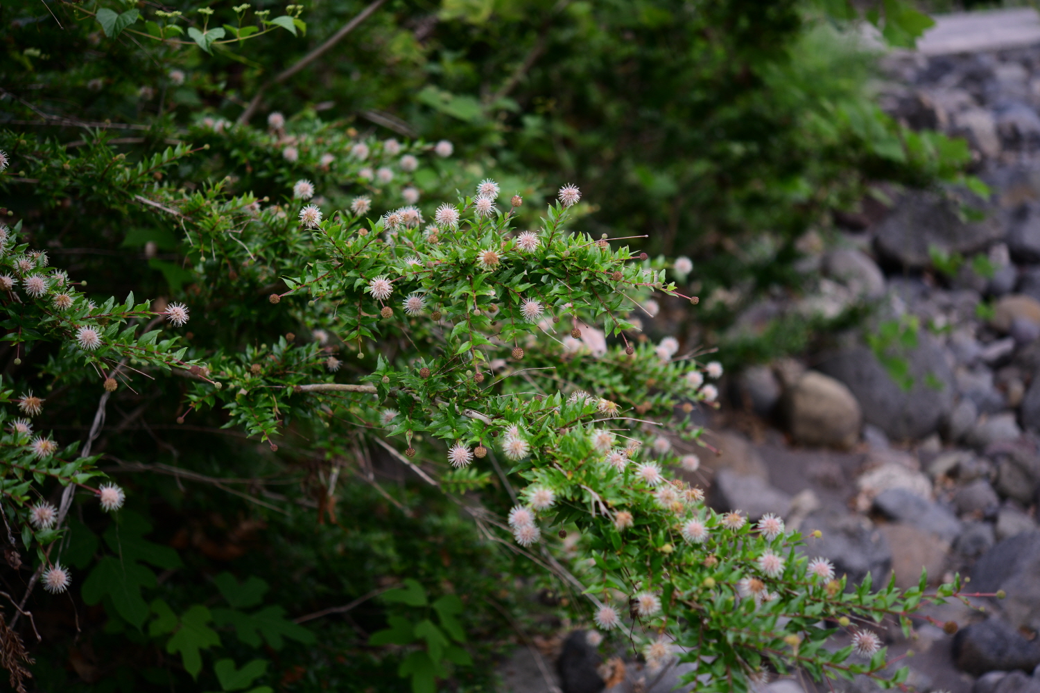 크기변환_DSC_9793.JPG