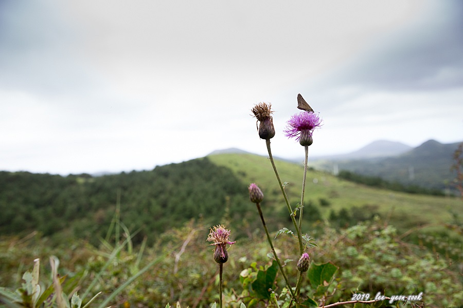 20190913-P39A9685.jpg