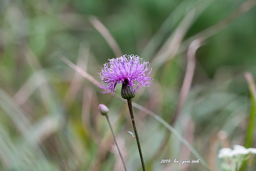 20190913-P39A9658.jpg