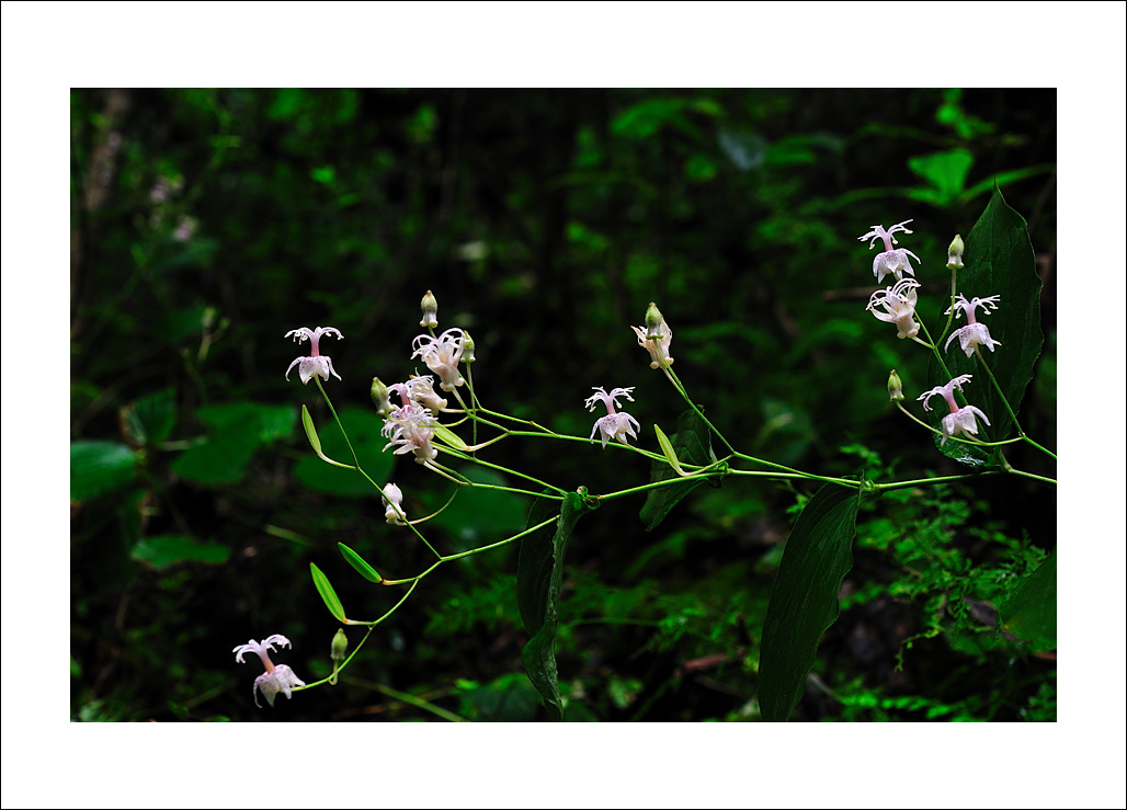 DSC_6957.jpg
