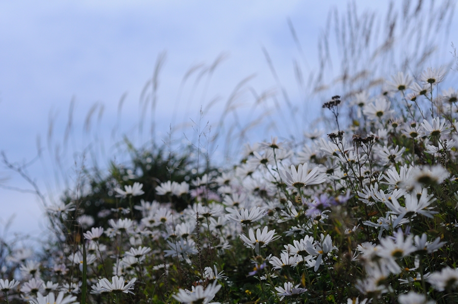DSC_9834.JPG
