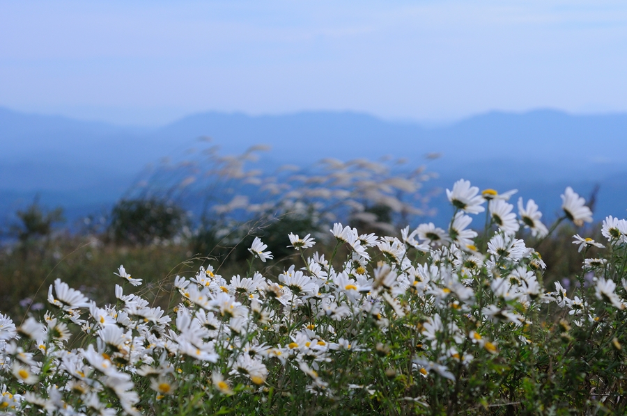 DSC_9839.JPG