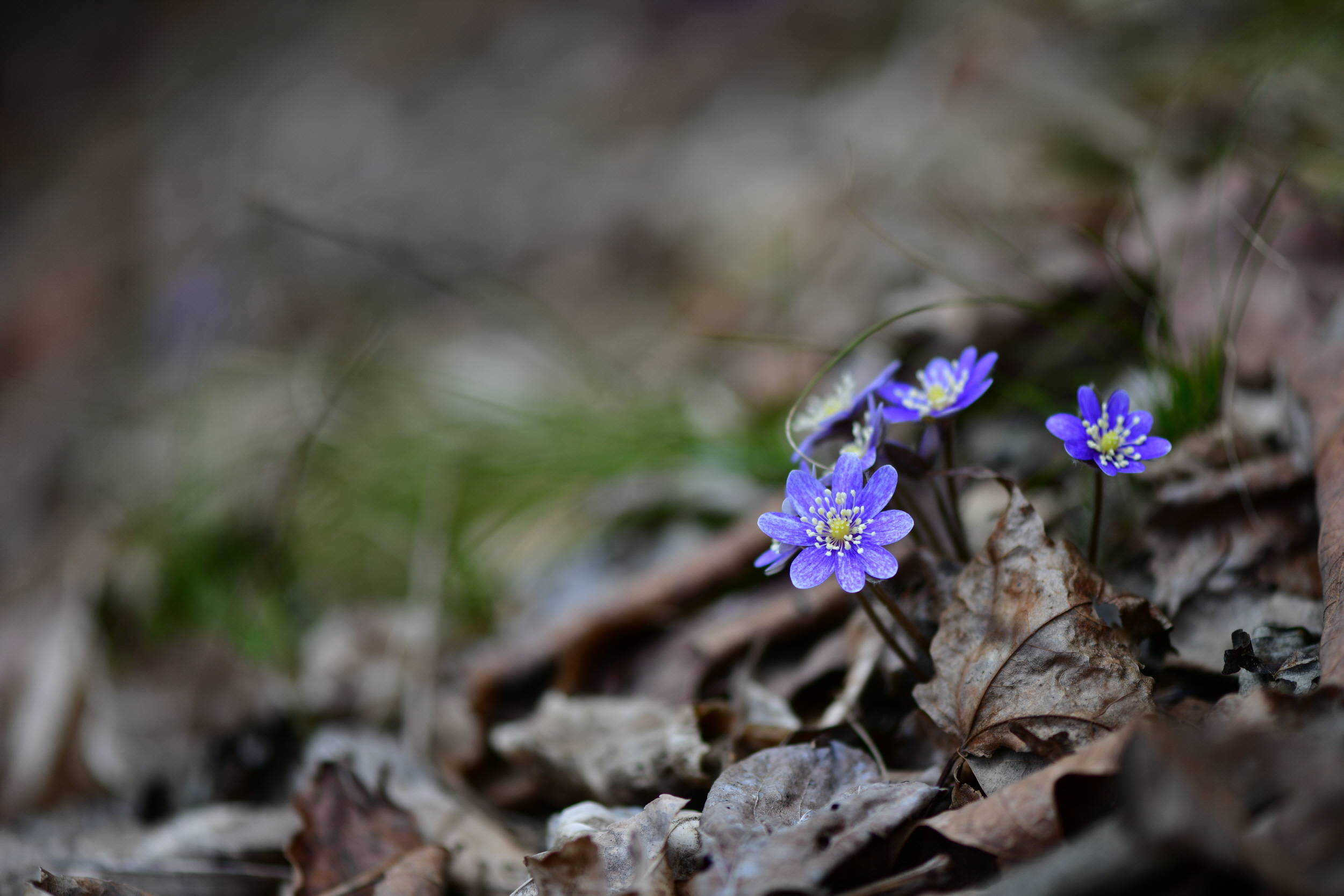 [크기변환]DSC_2063.JPG