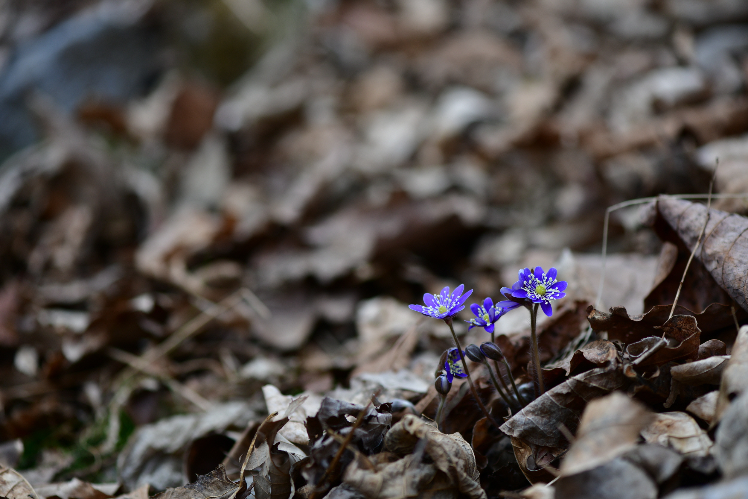 [크기변환]DSC_2103.JPG