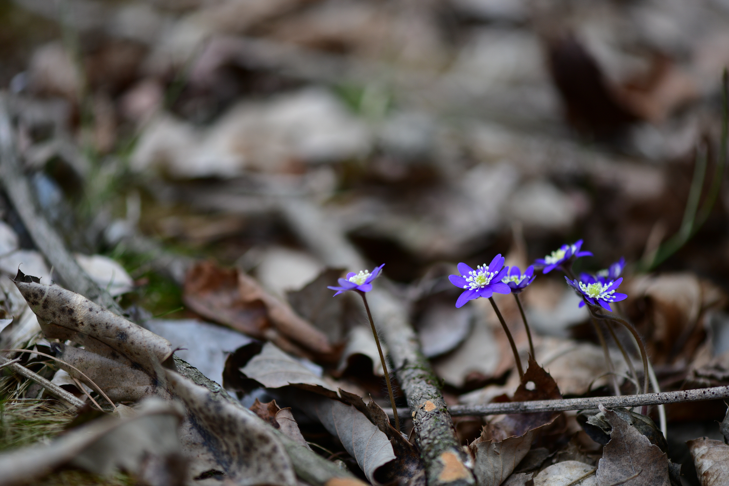 [크기변환]DSC_2070.JPG