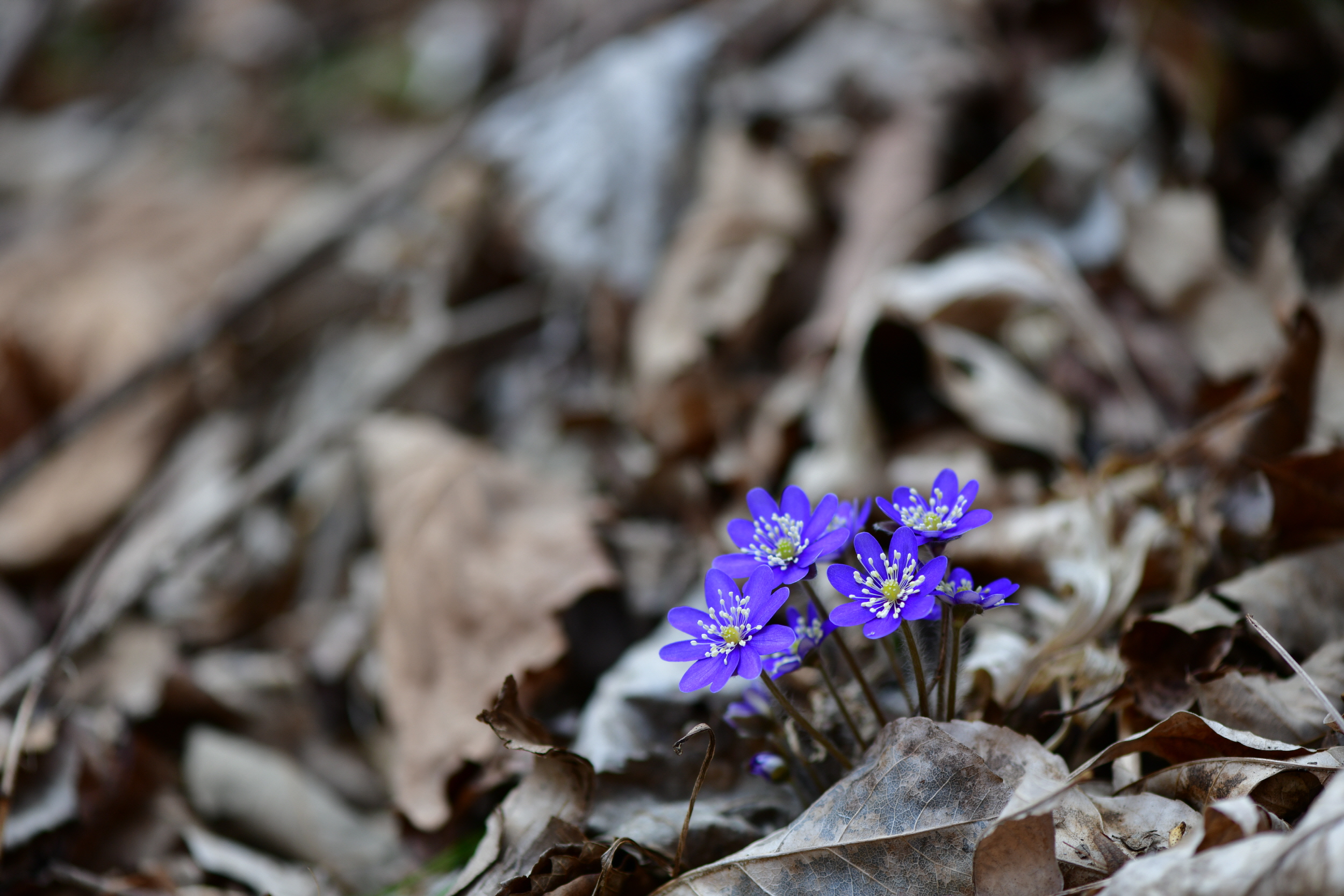 [크기변환]DSC_2145.JPG