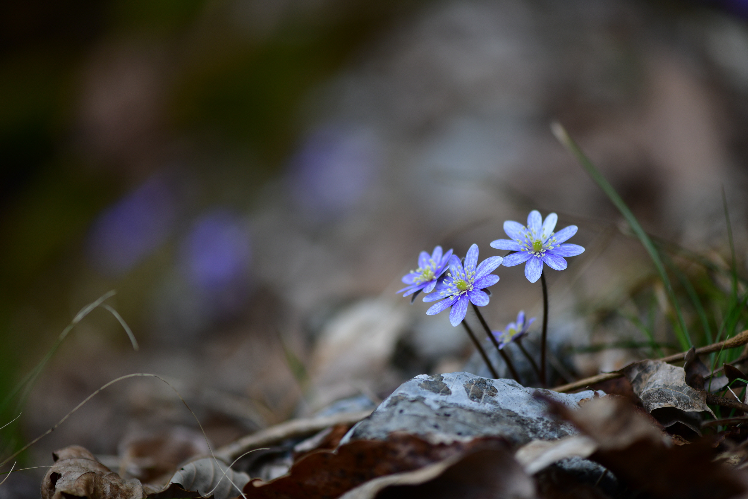 [크기변환]DSC_2065.JPG