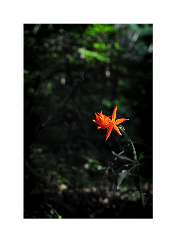 DSC_2526.JPG