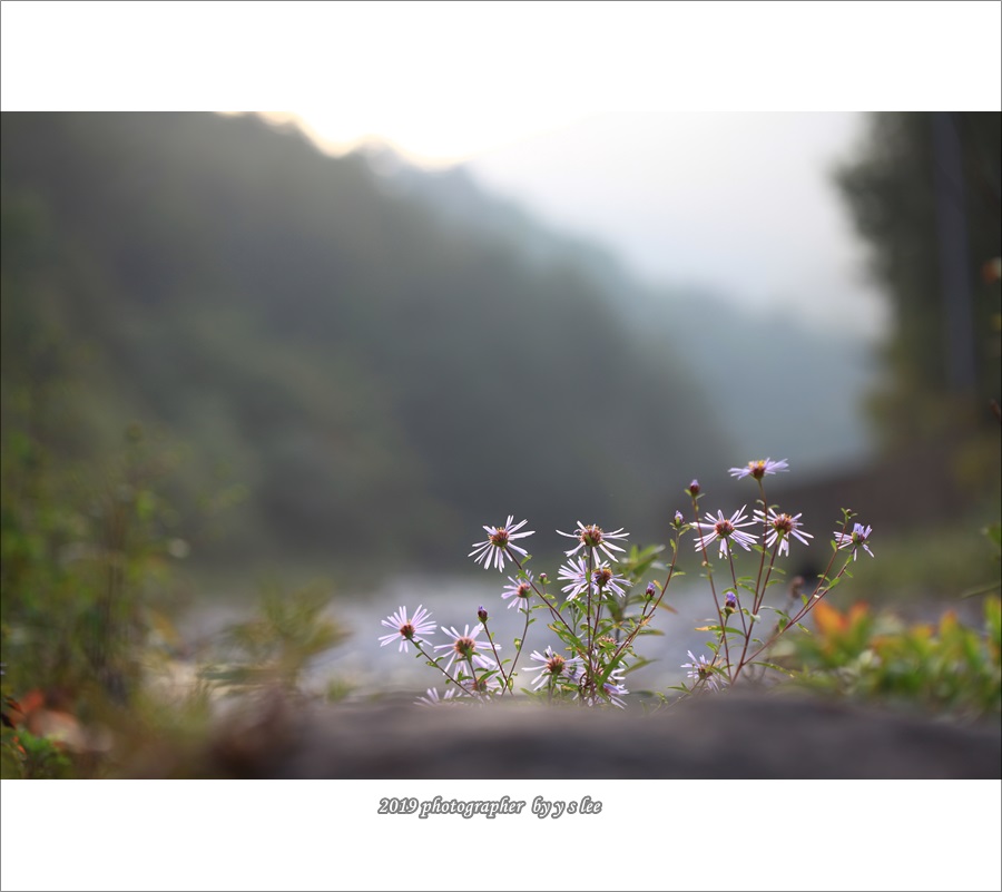 IMG_9373.JPG