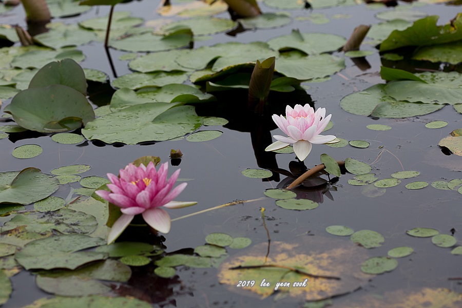 20190911-P39A9168.jpg