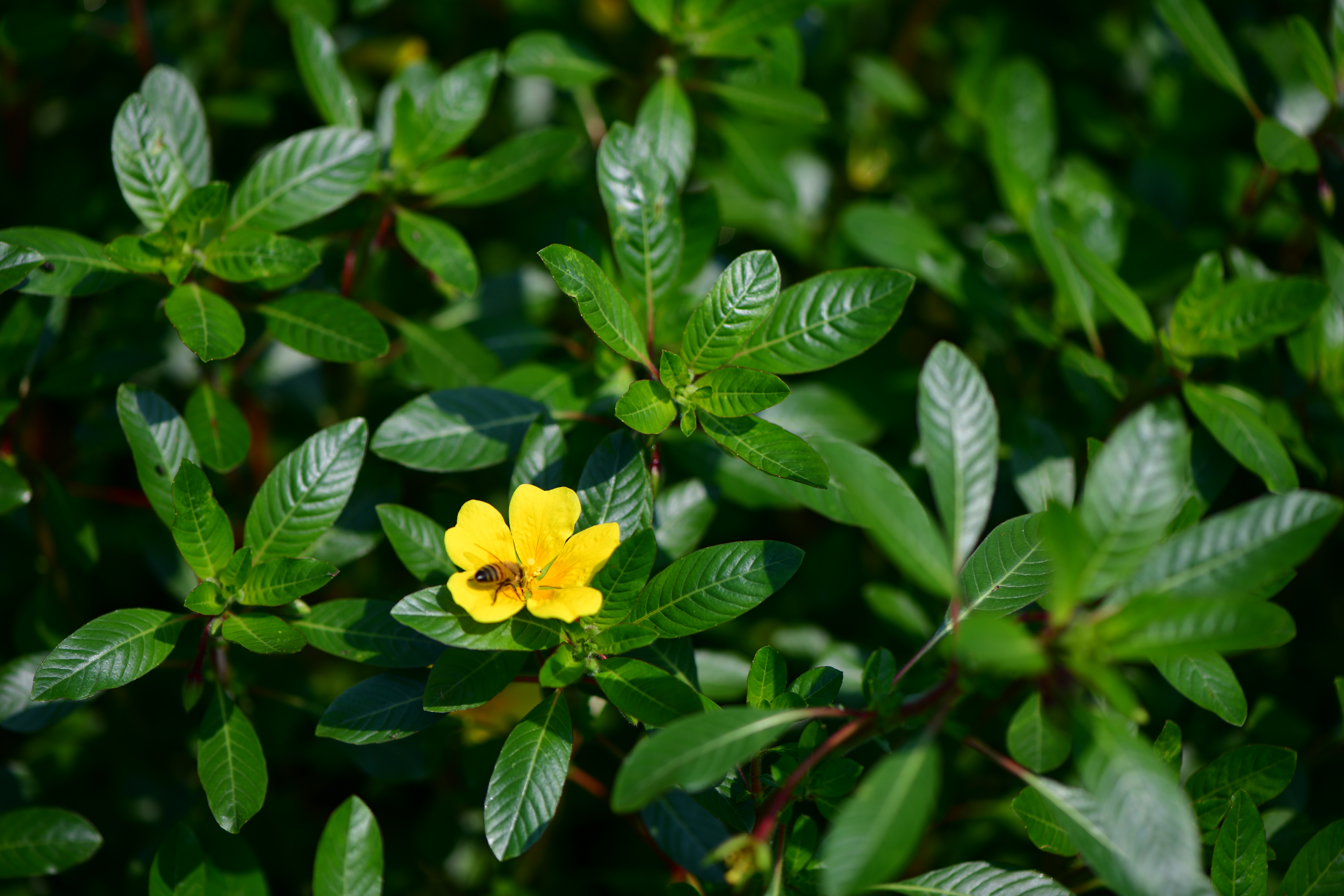 DSC_9400.JPG