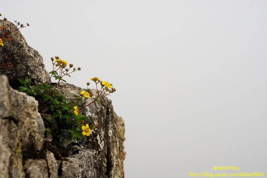 DSC_4802.jpg