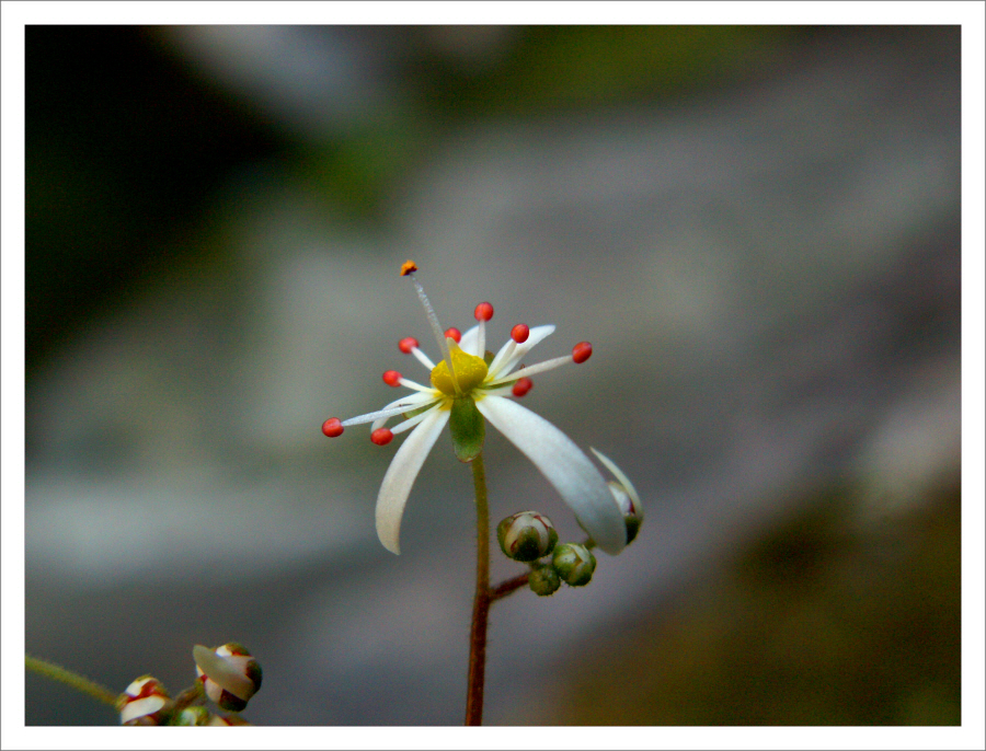 90910명성산 052.jpg