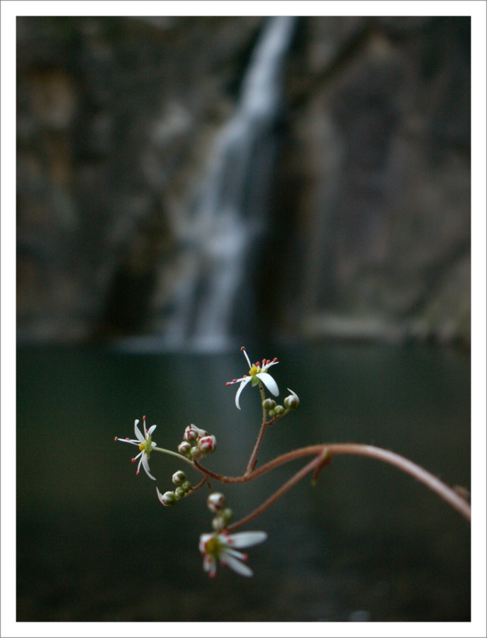 90910명성산 041.jpg