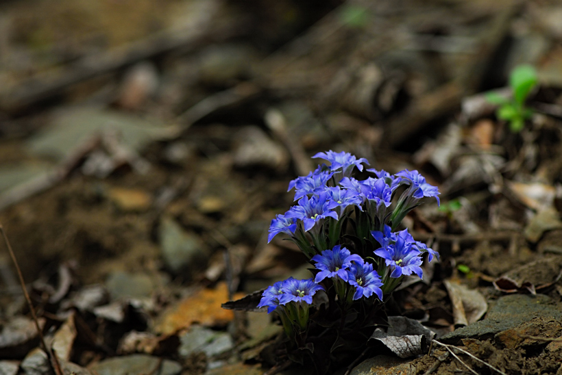 DSC_8465-1.jpg
