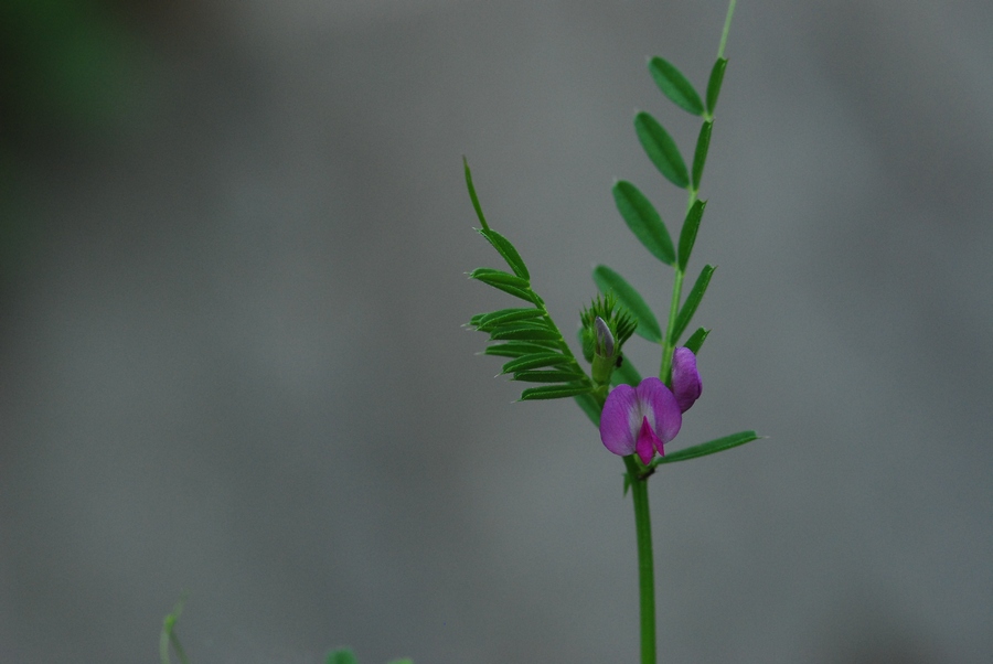 DSC_0269-2.jpg