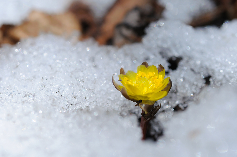 DSC_8189.jpg