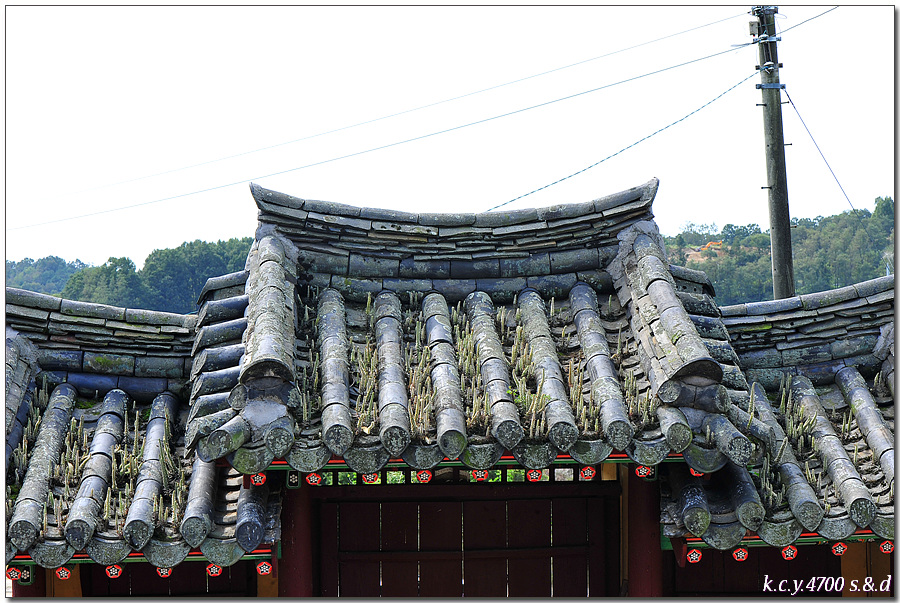 KCY_1181.jpg