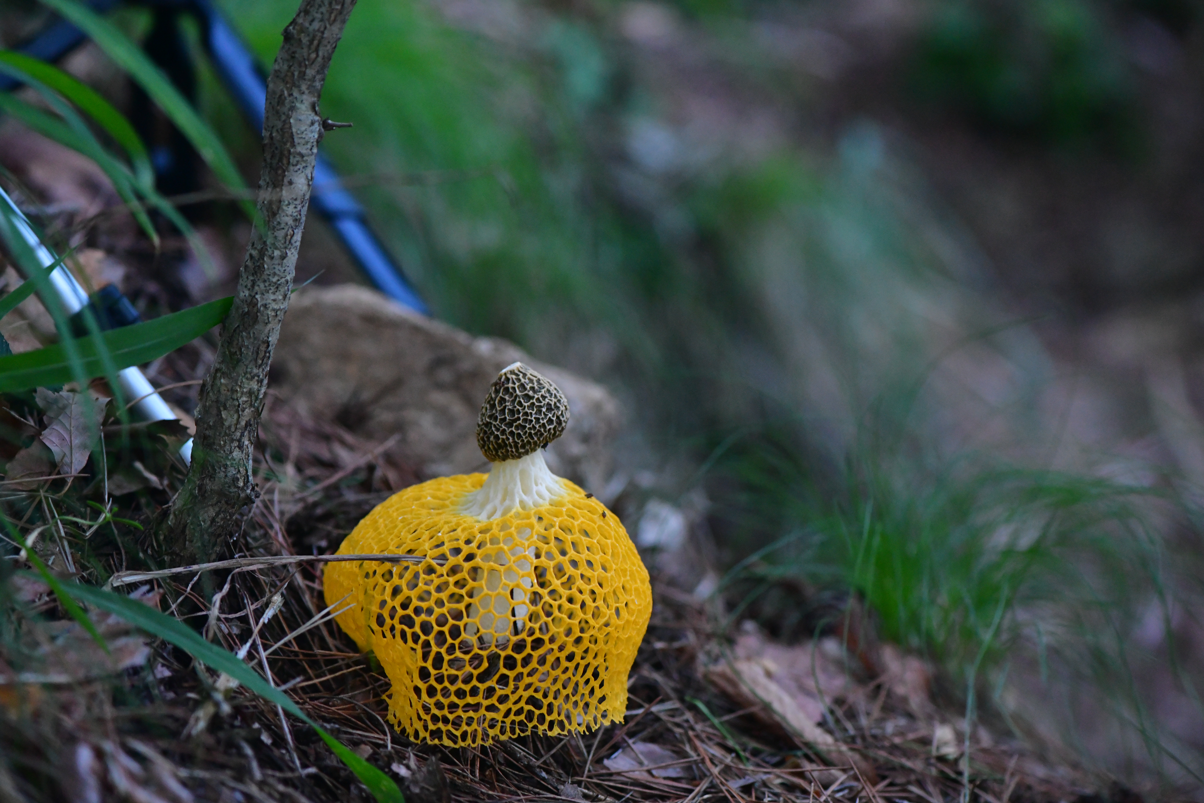 DSC_4149.JPG