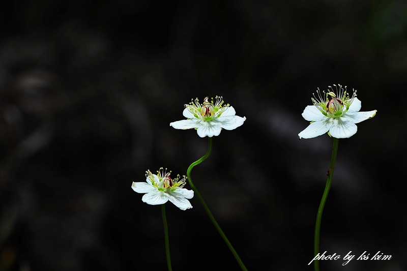 DSC_1456.jpg