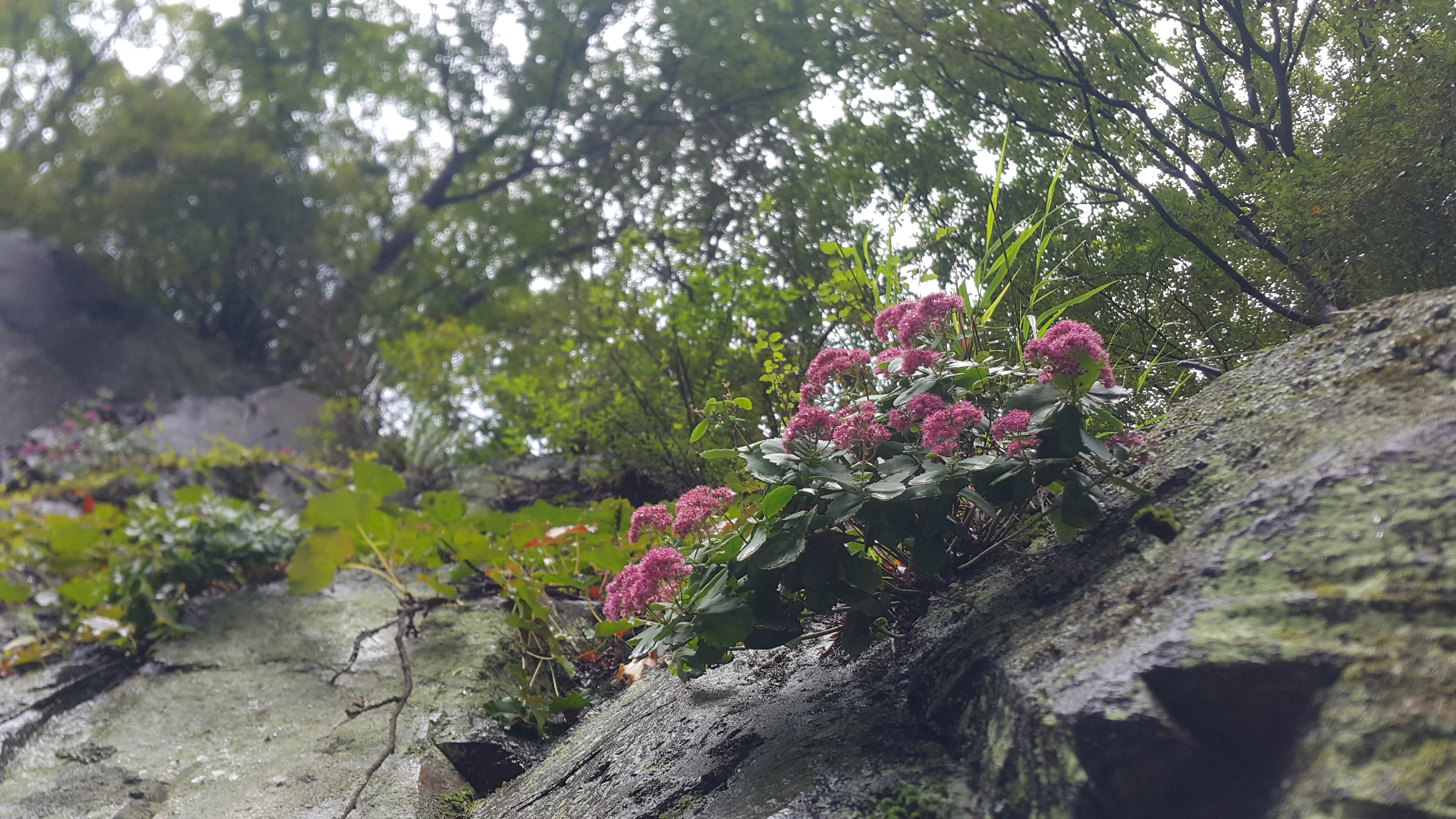 20171007_095836.jpg