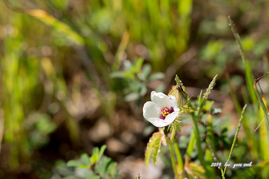 20190915-P39A9898.jpg