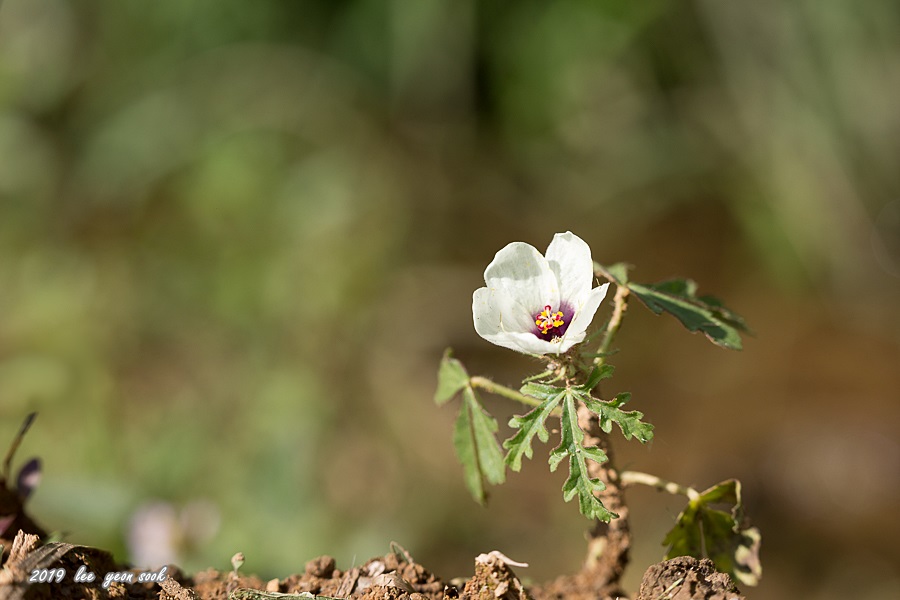 20190915-P39A0091.jpg