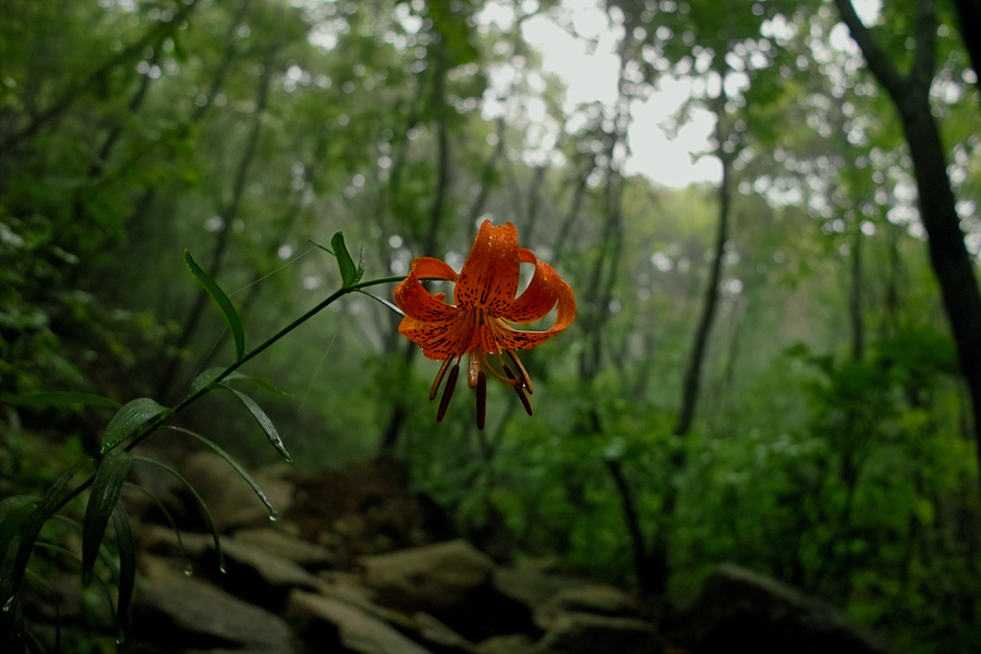 SDIM0019.jpg