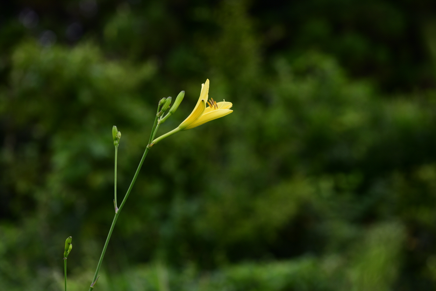 크기변환_DSC_9916.JPG
