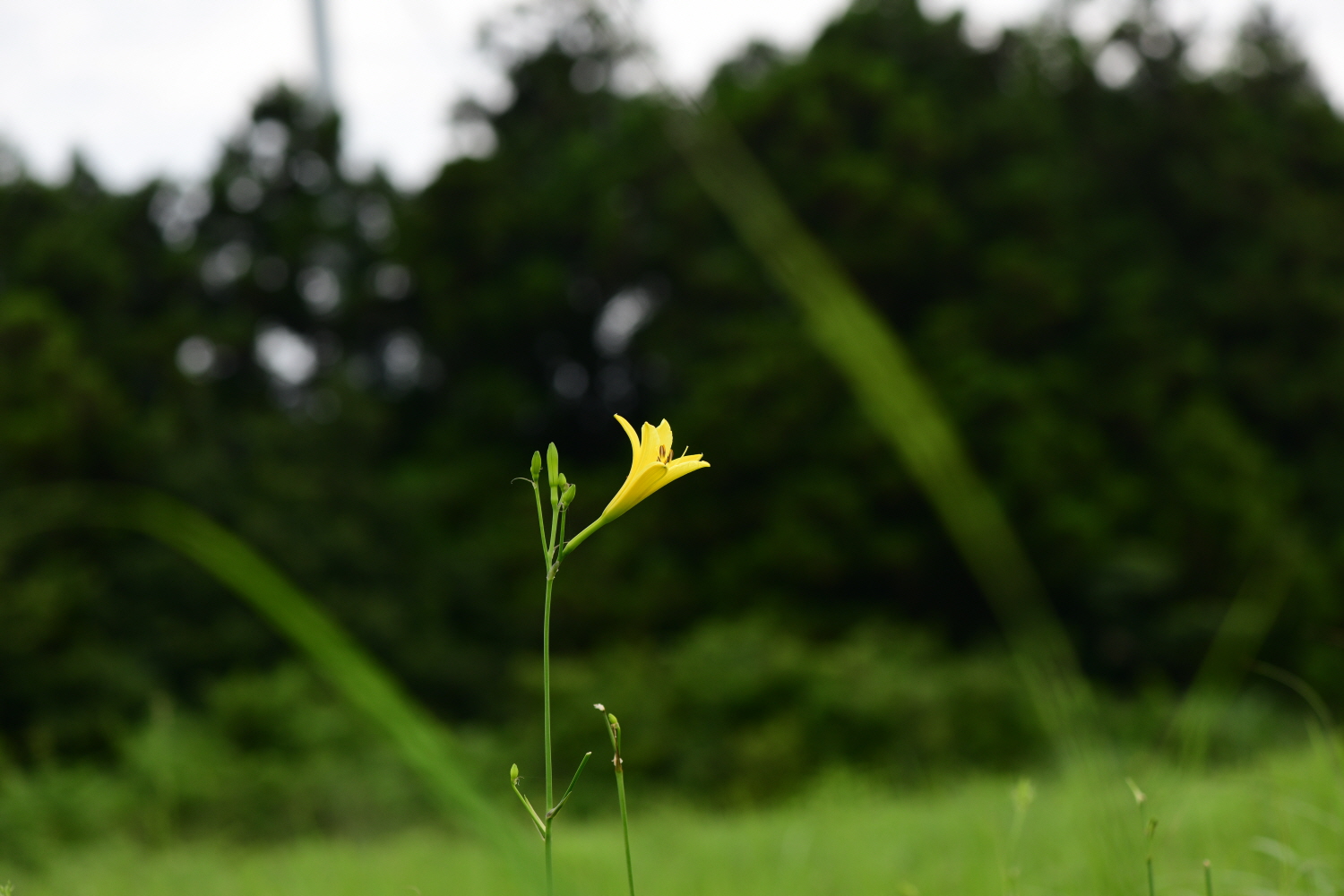 크기변환_DSC_9911.JPG