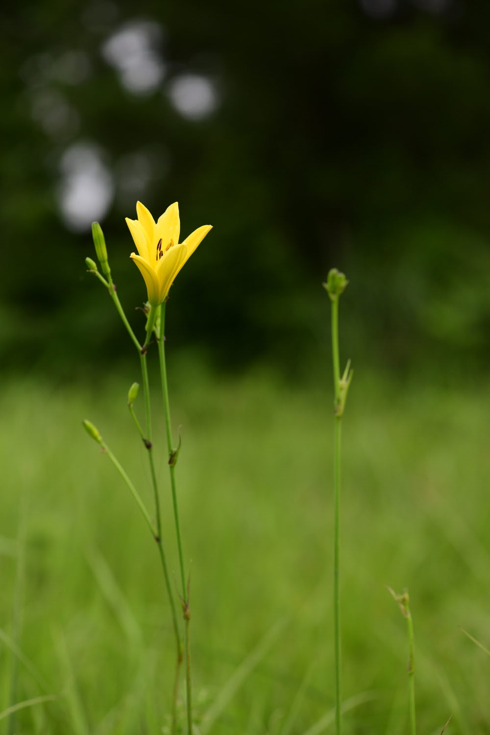 크기변환_DSC_9914.JPG
