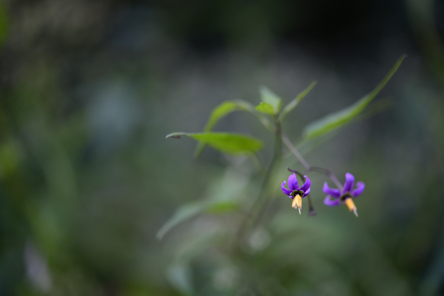 크기변환_DSC_3267.JPG