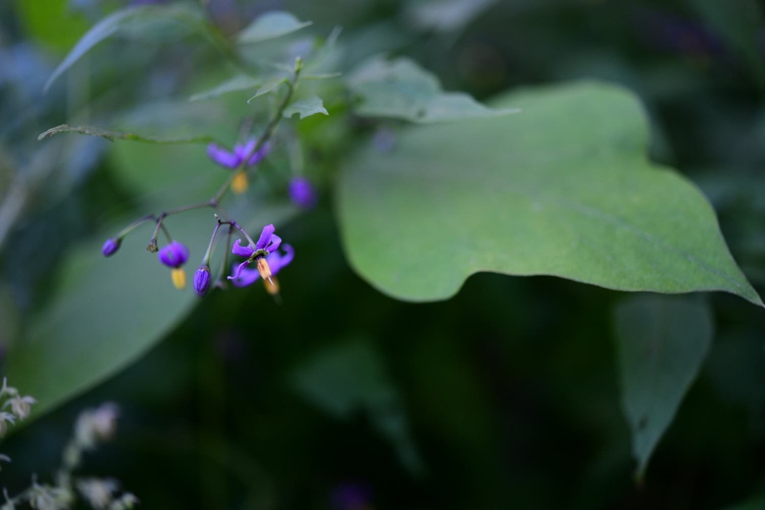 크기변환_DSC_3201.JPG